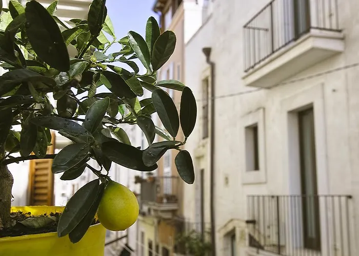 Dimora Nonna Rosa Bed and Breakfast Conversano