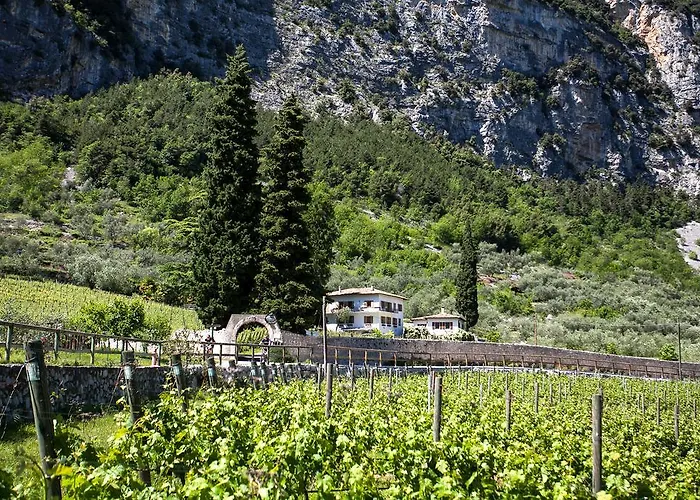 Agriturismo Maso Lizzone