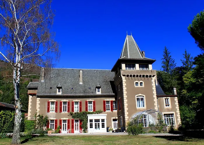 Chambres d'Hôtes Château de Viviez