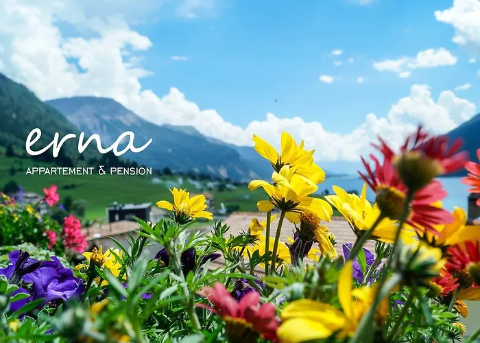 Pension Apartment Erna