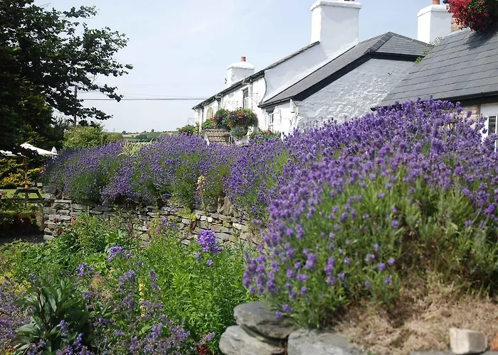 The Elephants Nest Inn
