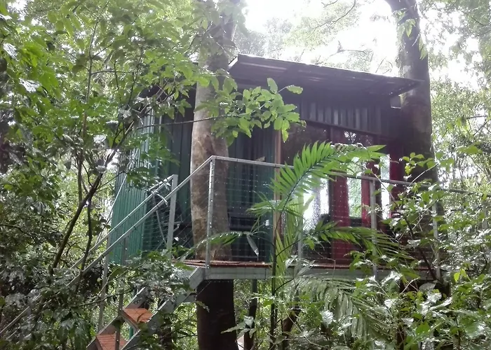 The Green Tree Lodge Monteverde