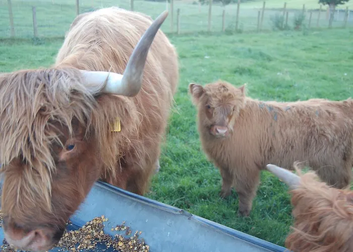 Drumbuie Farm B&B Drumnadrochit