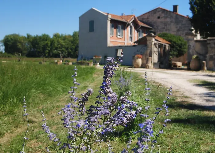 Le Mas Marguerite Arles
