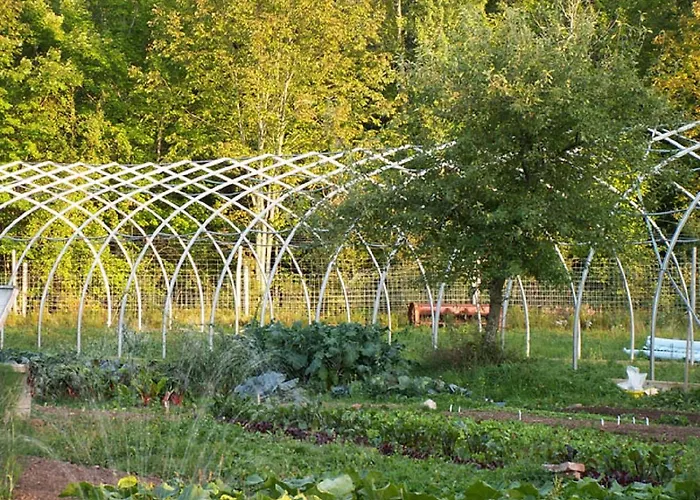 Green Dragon Organic Farm And B&B Tatamagouche