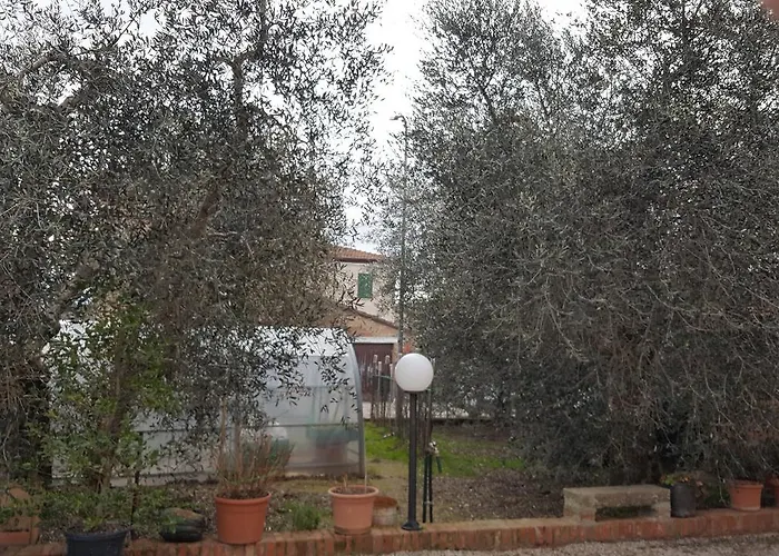 Bed and Breakfast Orto degli Ulivi Sinalunga