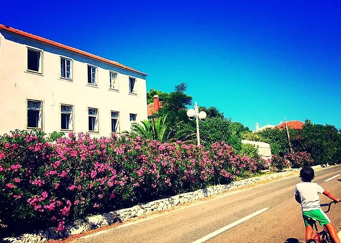 Bed and Breakfast Amarcord Skola Veli Rat