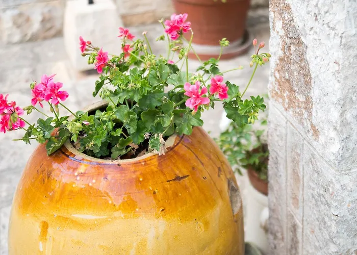 Bed and Breakfast Giardino Segreto Putignano