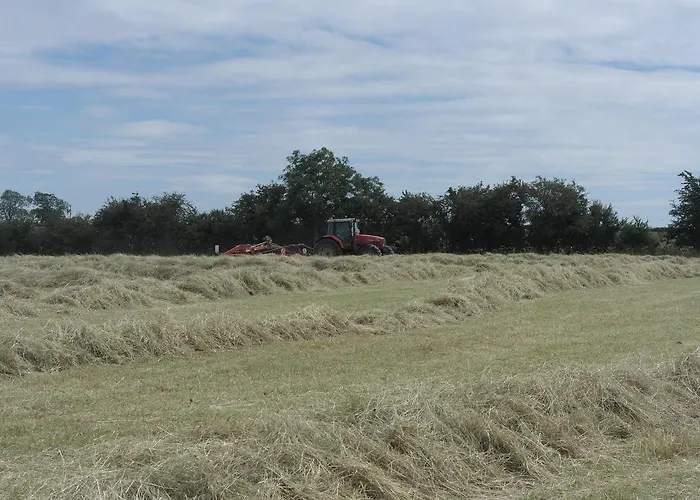 Handley Barn Silverstone