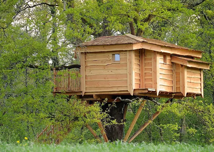 La Cabane du Vieux Chêne Susmiou