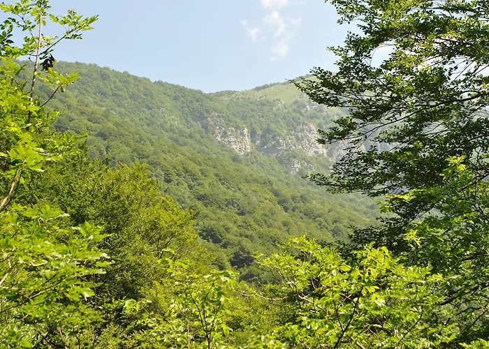 Bed and Breakfast R&B La Gerla Blu Tolmezzo