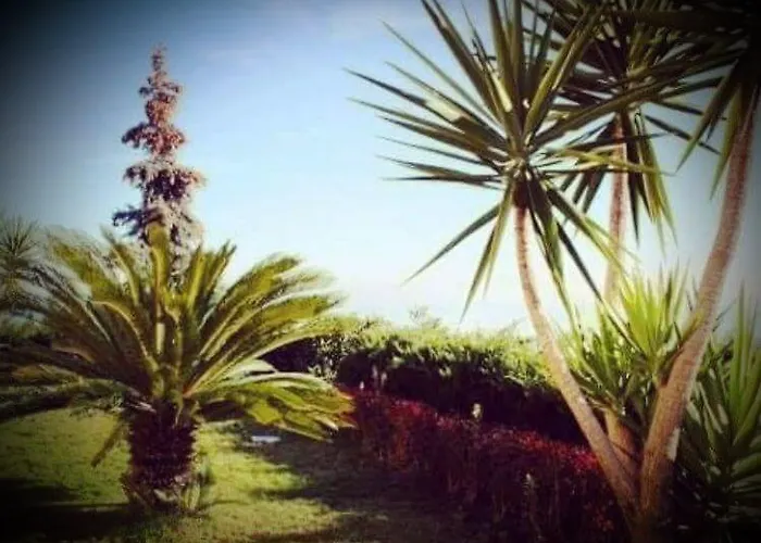 B&B Villa Floriana Tortoreto