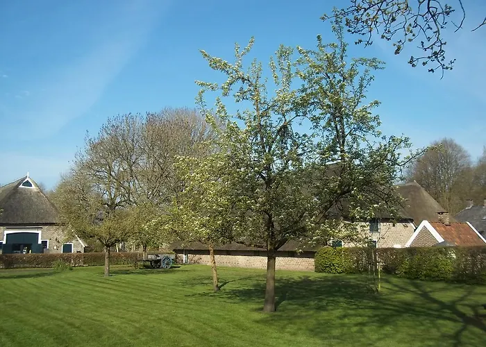 B&B Slaoperij Orvelte