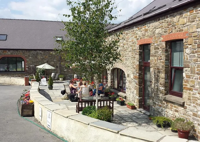 Llety Cynin Bed & Breakfast Llangynin