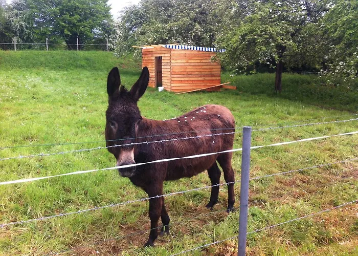 Bed and breakfast La Ferme de Montaigu