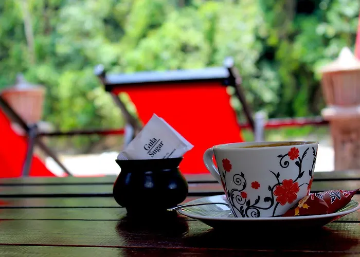 Ecotravel Cottages Bukit Lawang & Jungle Trekking