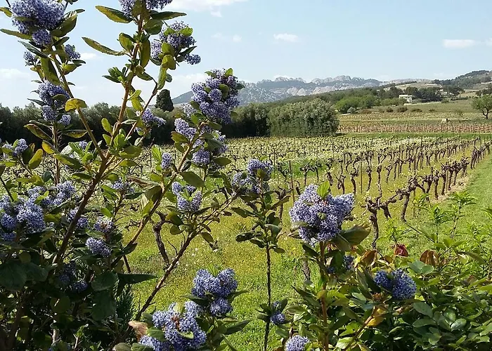 La Dentelliere Bed and Breakfast Saint-Hippolyte-le-Graveyron