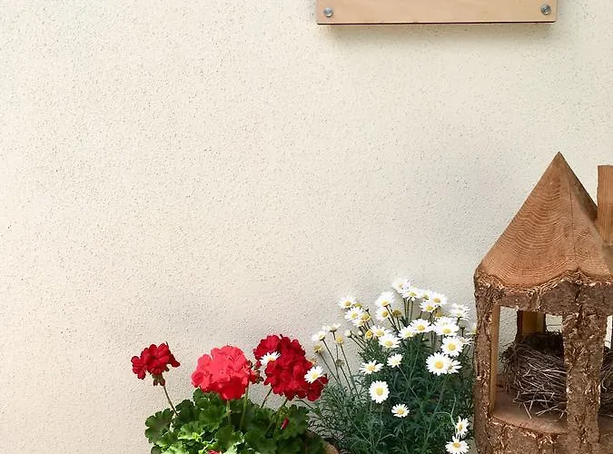 Bed and Breakfast Etrusca Polsa Brentonico