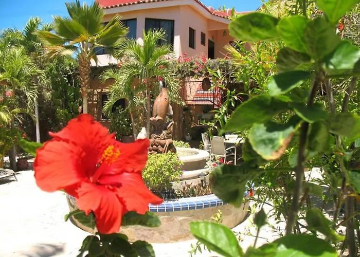Hacienda De Palmas Bed & Breakfast La Ribera