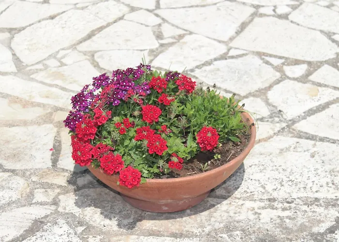 Tenuta Turchi Otranto