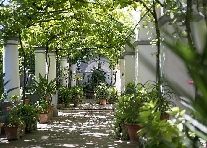 Elisir B&B Anacapri 