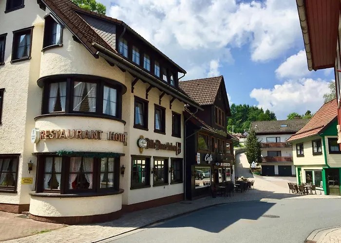 Landhotel Alte Aue