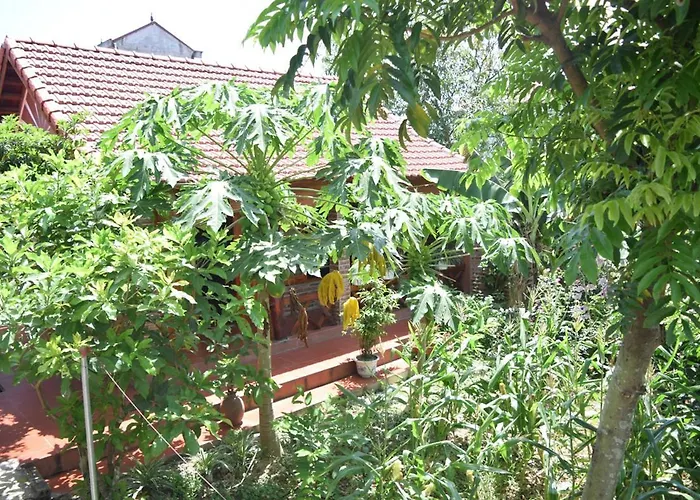 Van Long Family Homestay