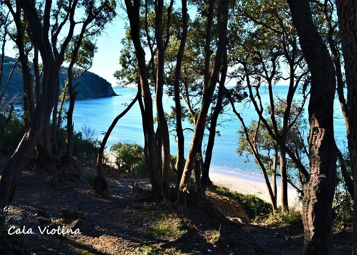 Podere 269 Castiglione della Pescaia