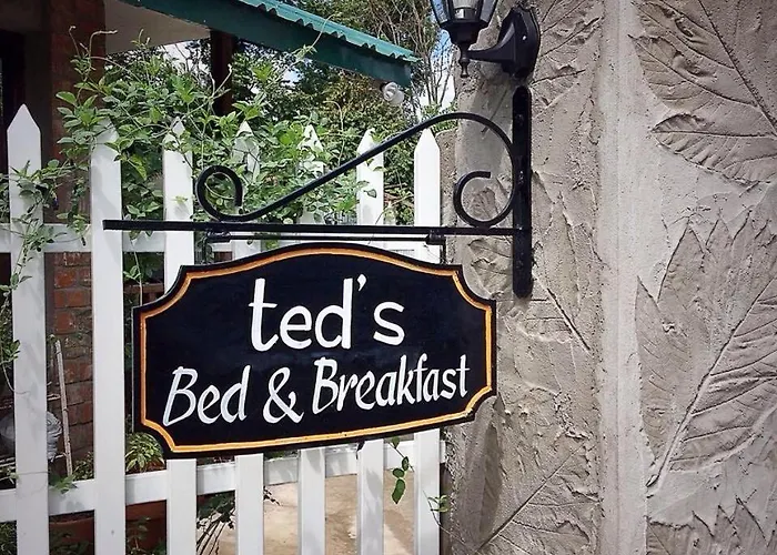 Ted'S Bed And Breakfast