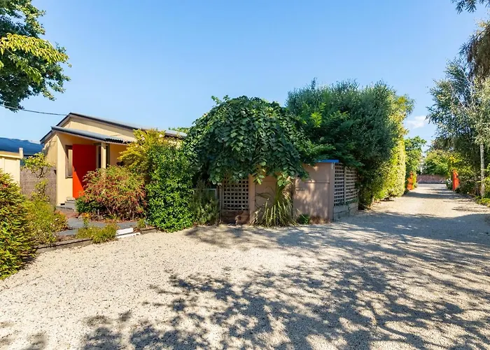 Shy Cottage And Studio Greytown