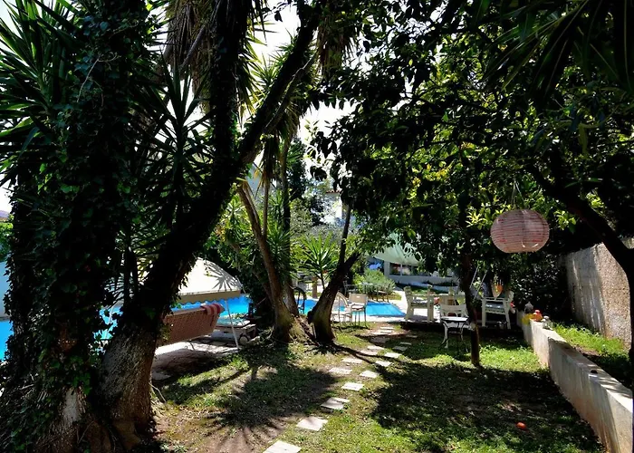 St. Thomas Bed And Breakfast