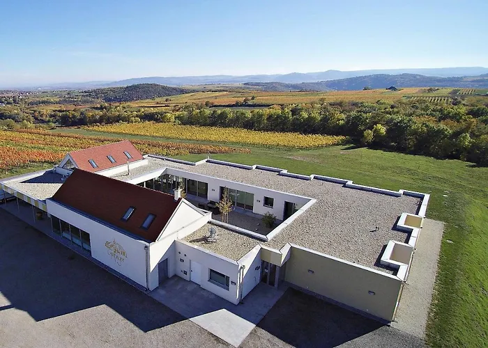 Hotel Weinblick Grafinger Stein bei Loipersdof