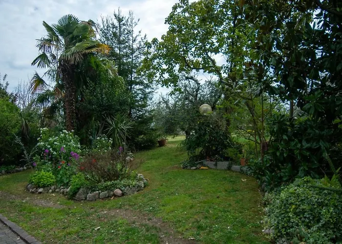El Rincon Del Artista