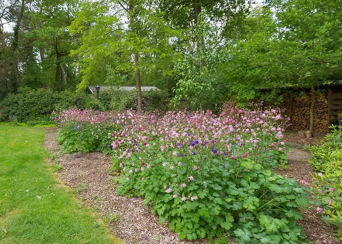 B&B Schipborg Zuidlaren