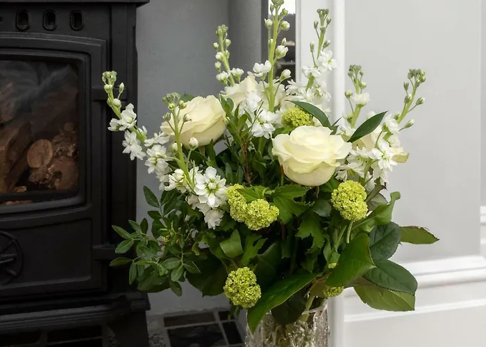 The Dartmouth Boutique B &B