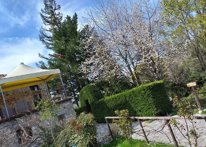 La Residenza Delle Rose Viggianello
