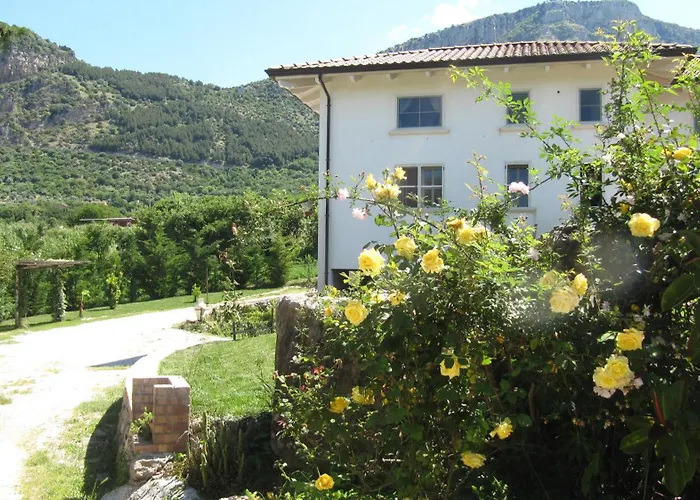 B&B Macchia d'Olmo Capaccio