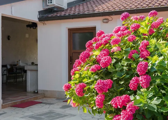 B&B Carmela Umag