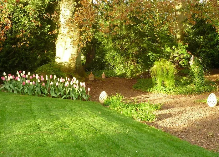 Au Vieux Cedre Bed and Breakfast Mouvaux
