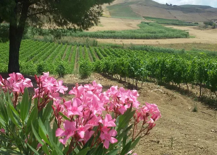 Bed and Breakfast Terre Di Gratia Camporeale