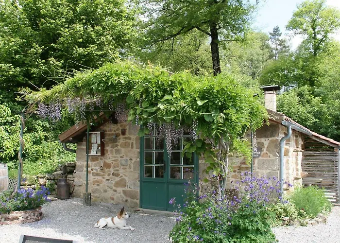Domaine Les Teuilleres Bed and Breakfast Lacam-dʼOurcet