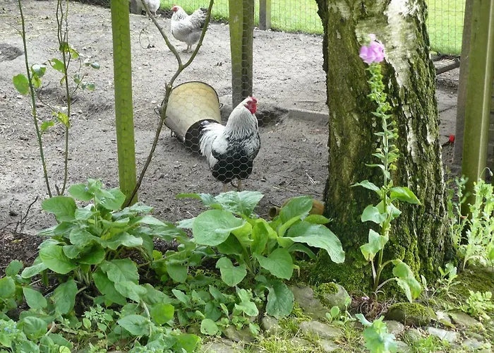 De Bekboer Bed and Breakfast Losser