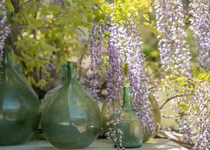Campagne de la source St Martin B&B Cotignac