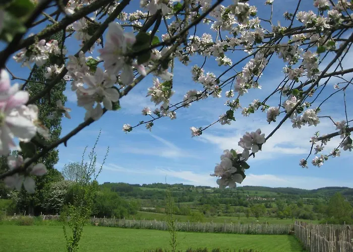 Quatre Saisons Bed and Breakfast Pionsat