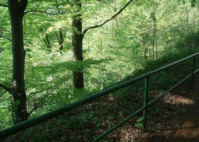 Pension/Bed And Breakfast Pangea Bad Lauterberg im Harz