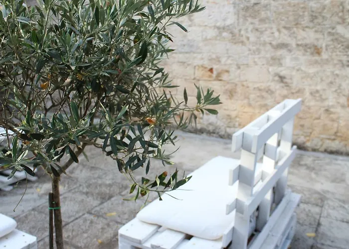 Bed and Breakfast Domus Relax Selva Di Fasano
