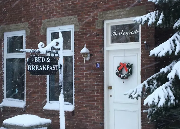B&B Berkenrode Rockanje
