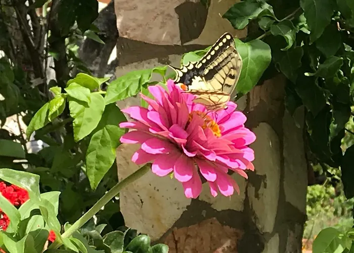 Donna Concetta Bed and Breakfast Scopello 