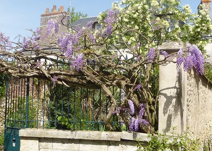 Bed and Breakfast La Petite Vigne à Amboise