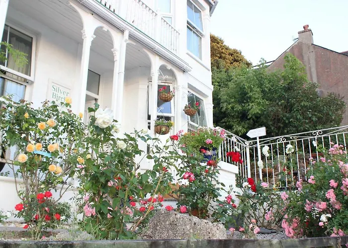 Silver Birch Guesthouse